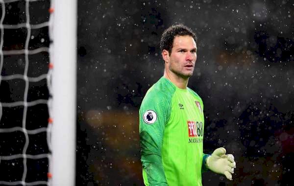 Everton Sign Begovic From Bournemouth For Undisclosed Fee