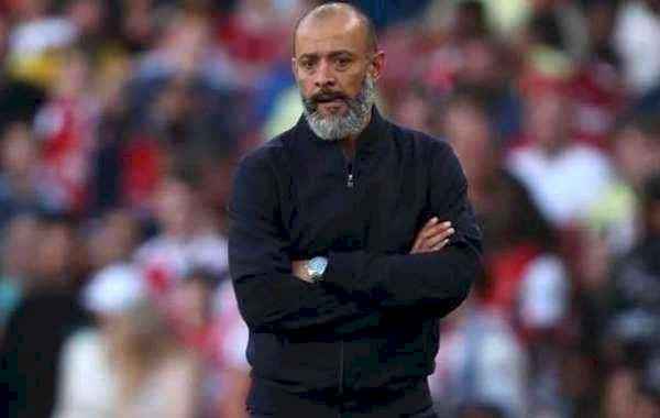 Esperito Santo Fired As Tottenham Manager