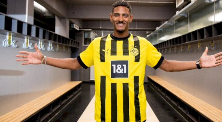 Haller Out For Unspecified Period After Testicular Tumor Surgery