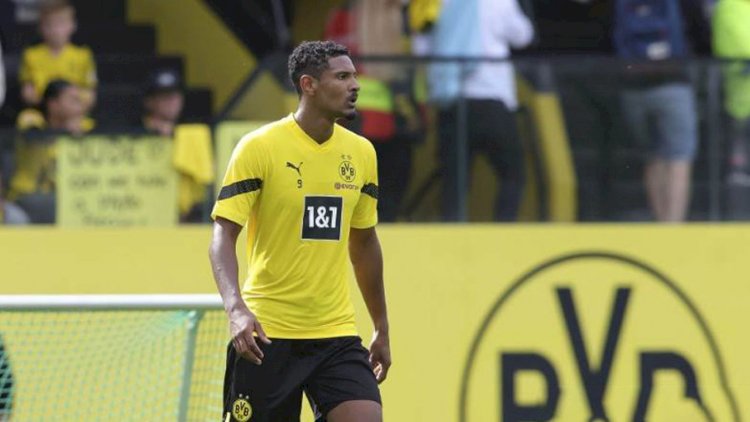 Haller To Undergo Chemotherapy After Testicular Tumor Found To Be Malignant
