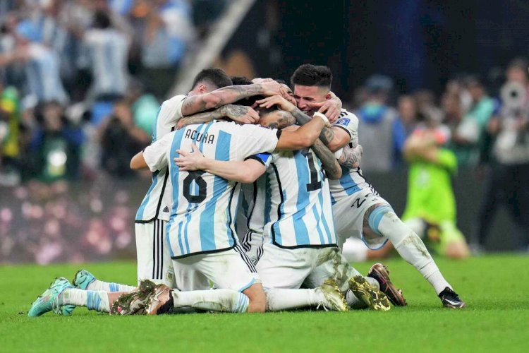Ibrahimovic Criticises Argentina Players For Inflammatory Post-World Cup Celebrations