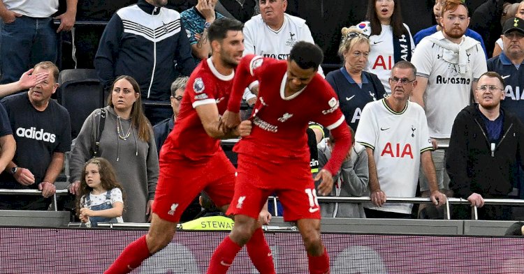 Liverpool Reject PGMOL Explanation For Disallowed Goal Against Spurs